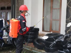 Schädlingsbefall im Betrieb: Pflichten im Kreis Mecklenburg